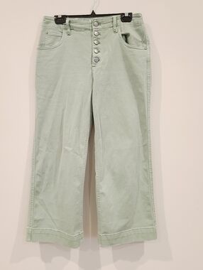 Gap Mint Green Button Front High Rise Wide Leg Cropped Pants
